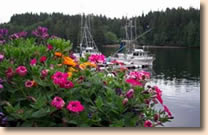 flowers on boardwalk