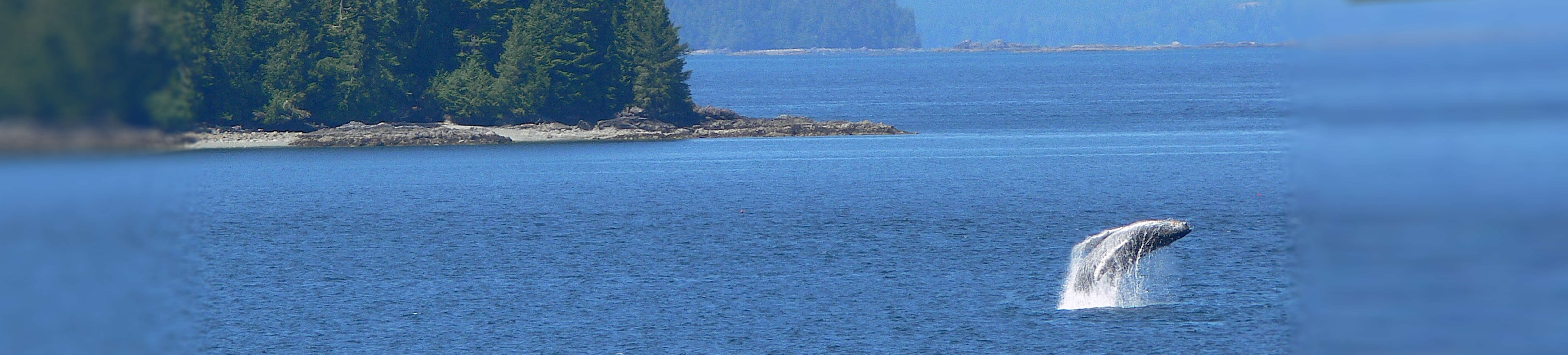 bamfield-beautiful-panorama-006